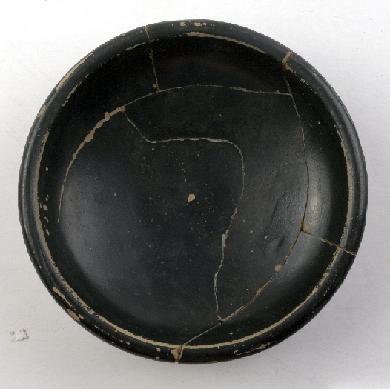 Marian Venceslá Delgado (CERES) 